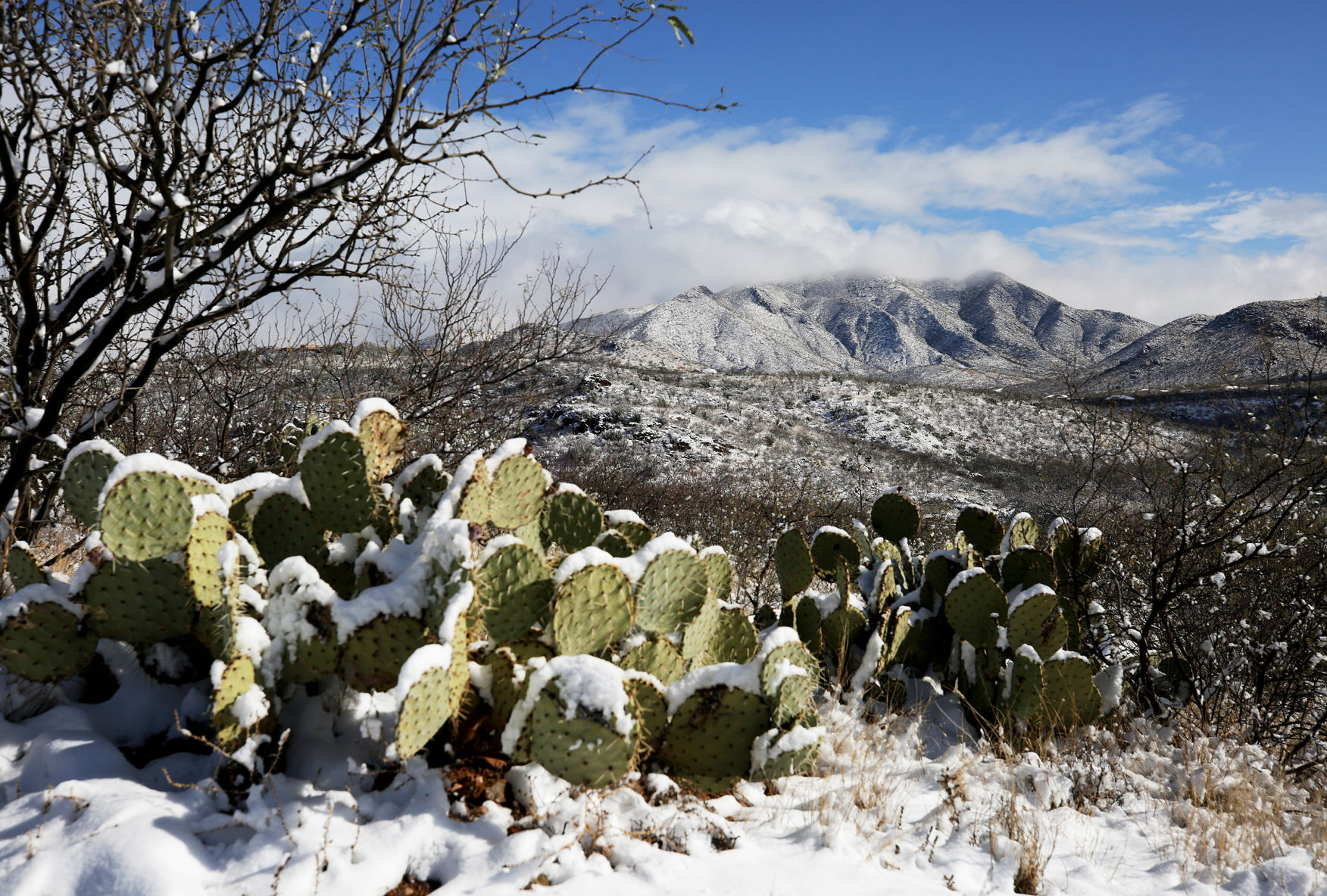 Snow in Southern Arizona